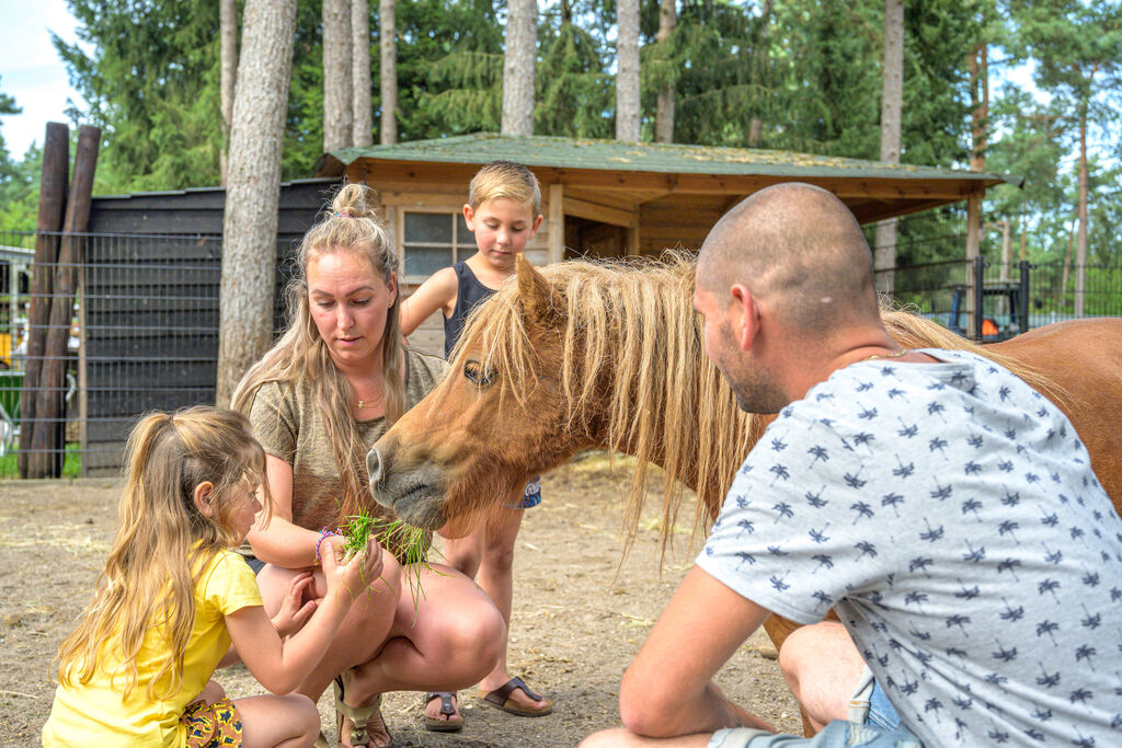 De Scheepsbel, Holiday Park Gelderland - 9