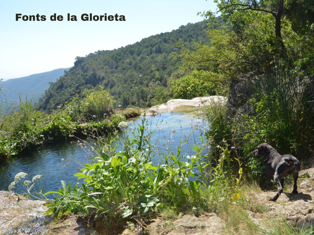 Serra de Prades, Holiday Park Catalogne - 32