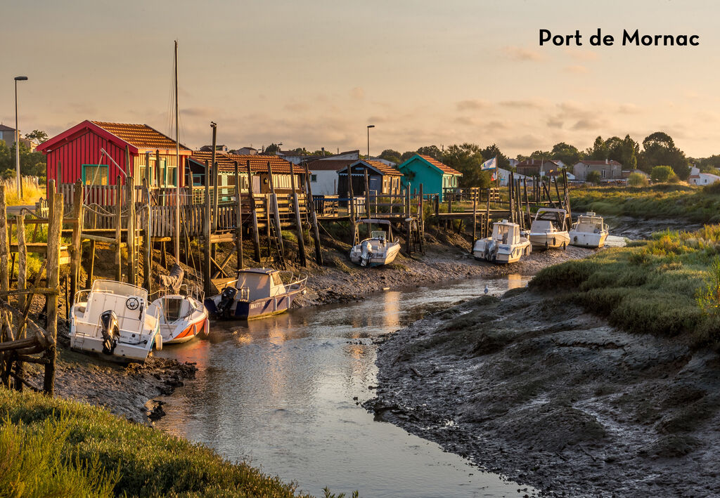 Celeste, Holiday Park Poitou Charentes - 12